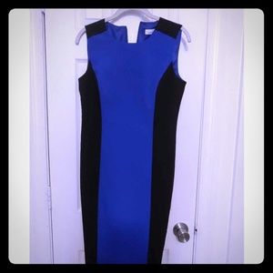 Calvin Klein Blue/Black Dress